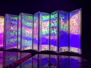 IMG_4600